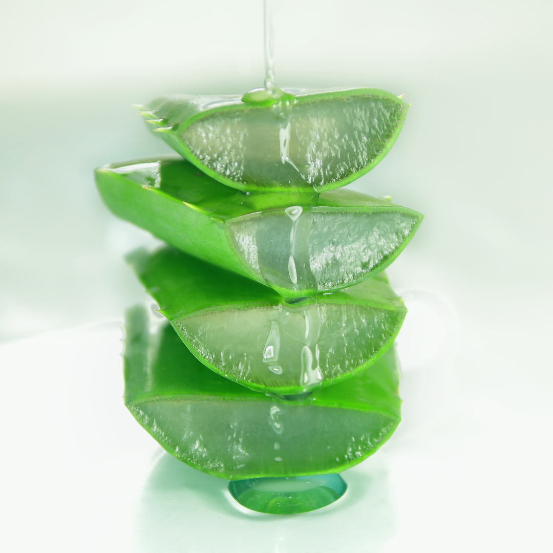 An image of an aloe vera plant